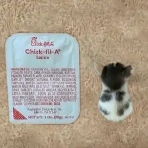 CYBER MONDAY CLEAR OUT